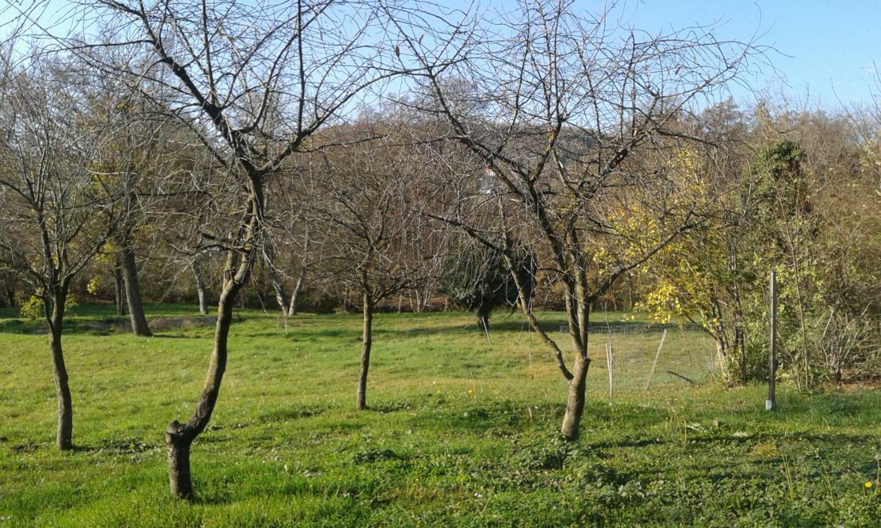 Bochmann Cottage Zalaszanto Dış mekan fotoğraf